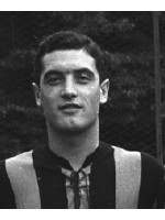 Armano, Gino